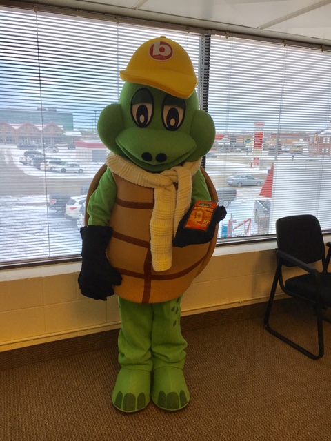 Tommy the Turtle